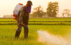 Cover photo for Are You a Landscaper or Dealer Needing Pesticide Credits and / or Contractors Credits?... Check This Out!!!
